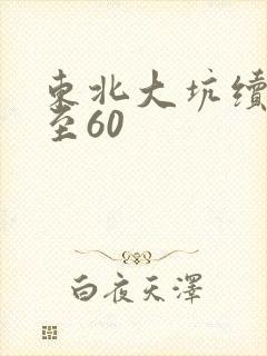 东北大坑续集1至60