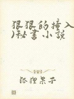 狠狠的撞入(h)秘书小说