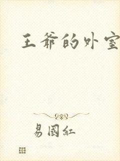 王爷的外室