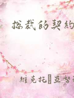 总裁的契约情人