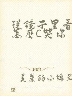 从镜子里看我是怎么C哭你