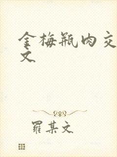 金梅瓶肉交白话文