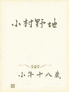 小村野地