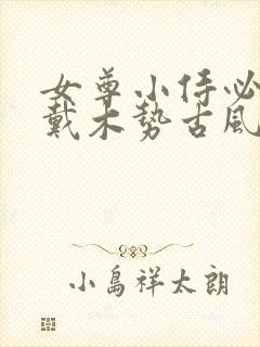 女尊小侍必须佩戴木势古风