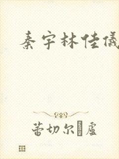 秦宇林佳仪小说