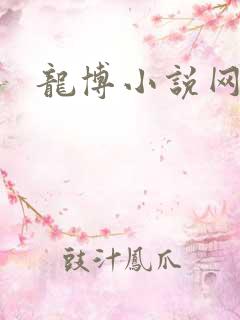 龙博小说网
