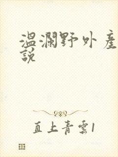 温澜野外产子小说