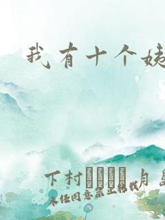 我有十个姨太太