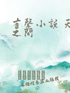 有声小说 天地之间