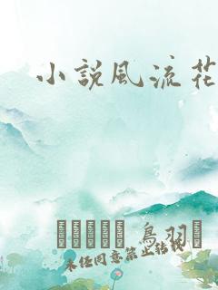 小说风流花少