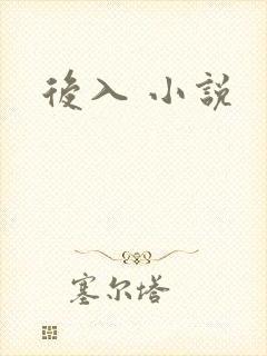 后入 小说