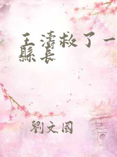 王涛救了一个女县长