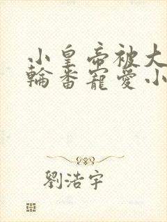 小皇帝被大臣们轮番宠爱小说