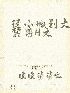 从小肉到大师傅禁脔H文