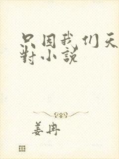 只因我们天生一对小说