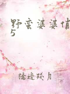 野蛮婆婆俏媳妇5