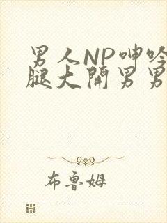 男人NP呻吟双腿大开男男小说