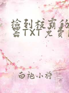 捡到校霸的遥控器TXT免费阅读