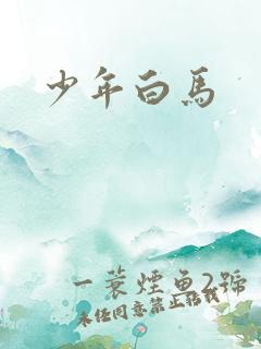 少年白马
