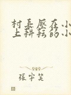 村长压在小娥身上耕耘的小说