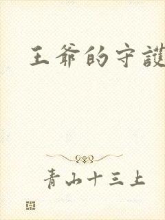 王爷的守护男妃