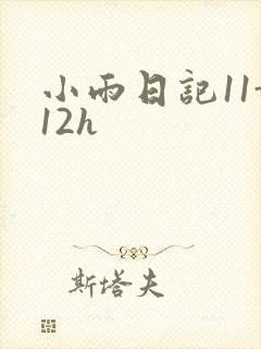 小雨日记11-12h
