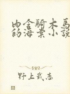 内含骑木马情节的海棠小说男主