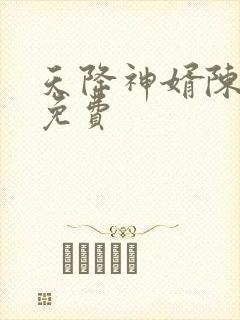 天降神婿陈黄皮免费