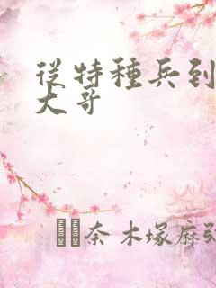 从特种兵到黑道大哥