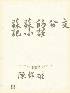 苏苏的公交车日记小说