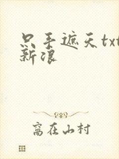 只手遮天txt新浪