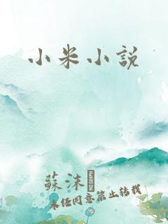 小米小说