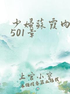 少妇苏霞肉欲第501章