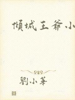 倾城王爷小小妃