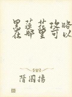 黑莲花攻略手册在哪里可以免费阅读