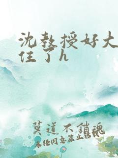 沈教授好大含不住了h