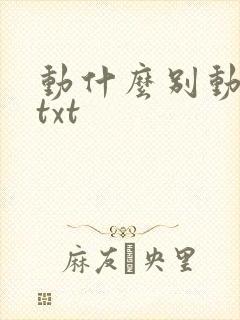 动什么别动感情txt