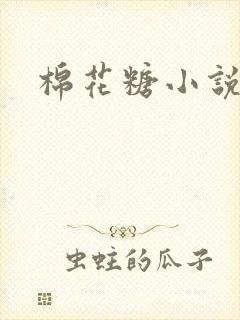 棉花糖小说下载