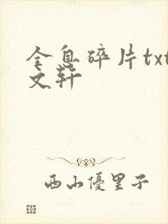 全息碎片txt文轩