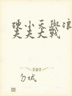 硬小天与浪小辉夫夫大战