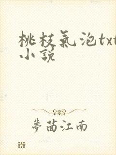 桃枝气泡txt小说