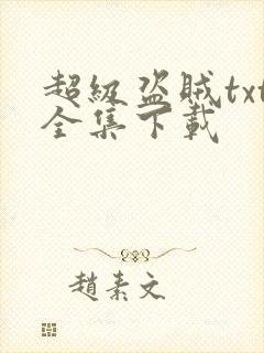 超级盗贼txt全集下载