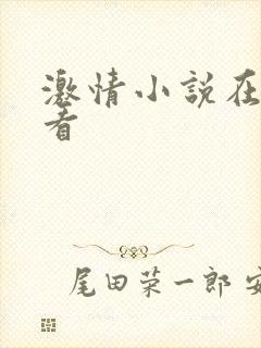 激情小说在线观看