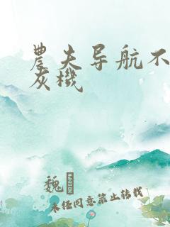 农夫导航不要打灰机