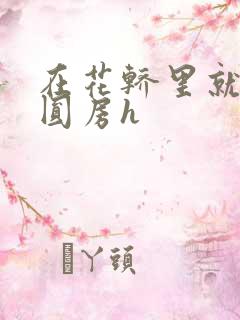 在花轿里就开始圆房h