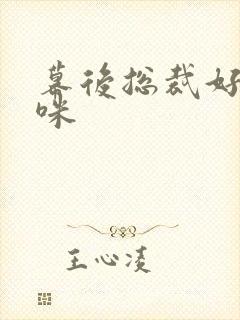 幕后总裁好孕妈咪