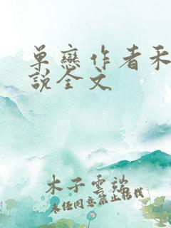 单恋作者禾满小说全文