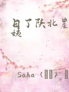 日了陕北农村婆姨