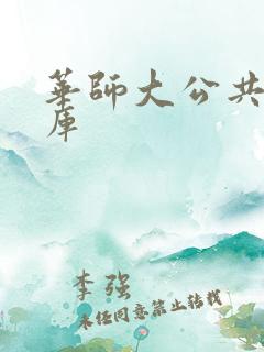 华师大公共数据库