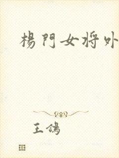 杨门女将外传